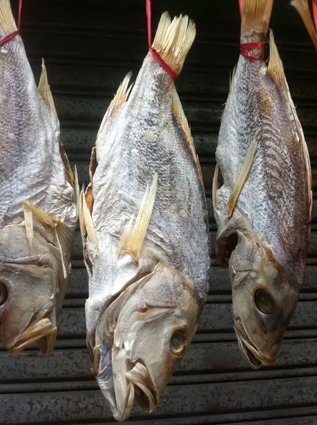 Cook Snap von kochcode-team