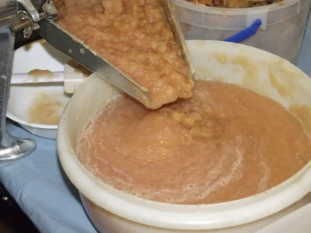 Cook Snap von kochcode-team