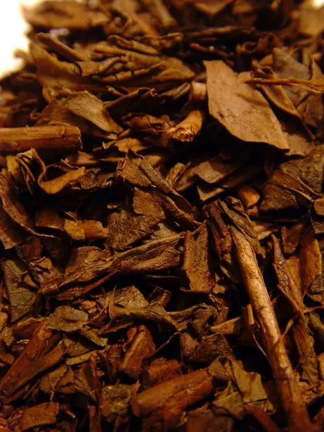 Foto von Japanischer Hōjicha Rösttee – fertig angerichtet