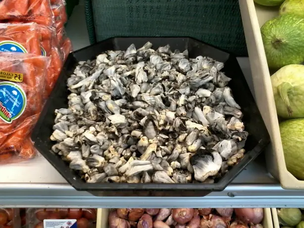 Cook Snap von kochcode-team