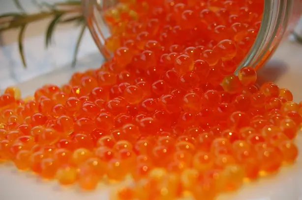 Cook Snap von kochcode-team