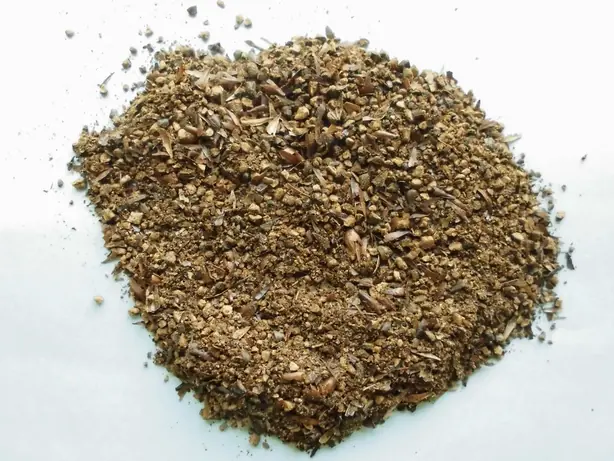 Cook Snap von kochcode-team