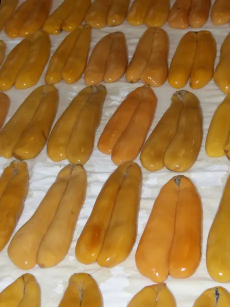 Foto von Japanisches Karasumi hausgemacht – fertig angerichtet