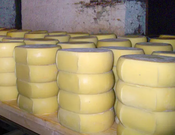 Foto von Bulgarischer Kaschkawal Pane – fertig angerichtet