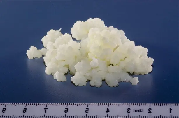 Foto von Selbstgemachter Kaukasischer Milchkefir – fertig angerichtet