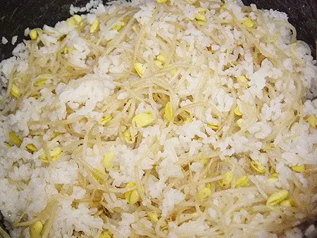 Cook Snap von kochcode-team