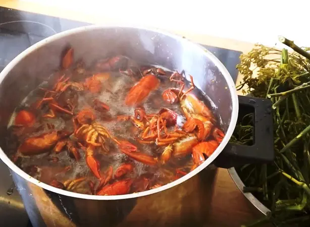 Cook Snap von kochcode-team