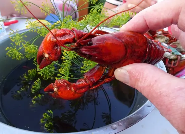 Cook Snap von kochcode-team