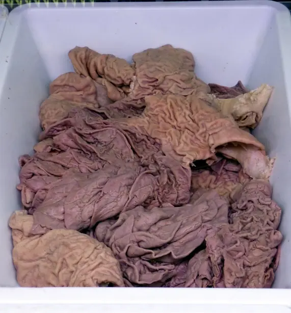 Foto von Florentiner Lampredotto Panino – fertig angerichtet