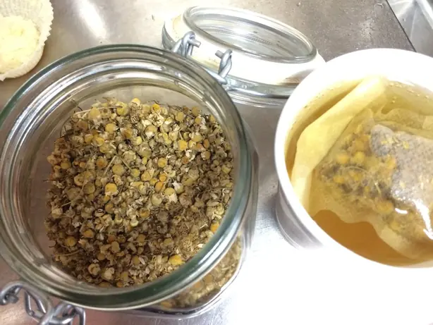 Cook Snap von kochcode-team