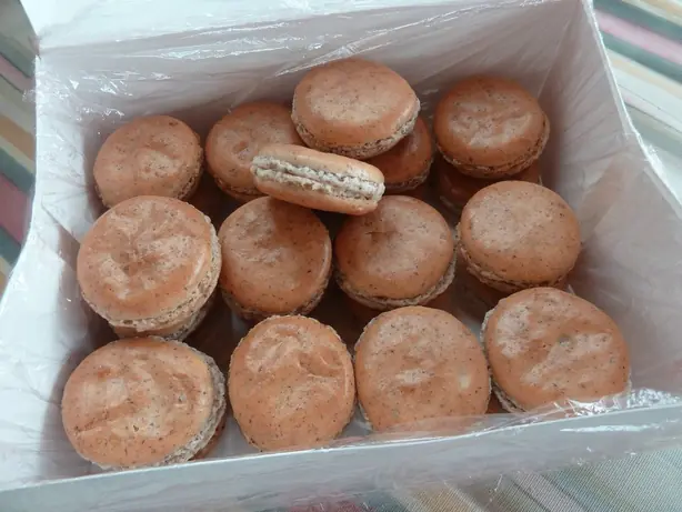 Cook Snap von kochcode-team