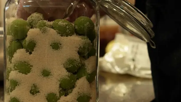 Cook Snap von kochcode-team