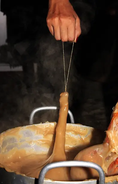 Cook Snap von kochcode-team