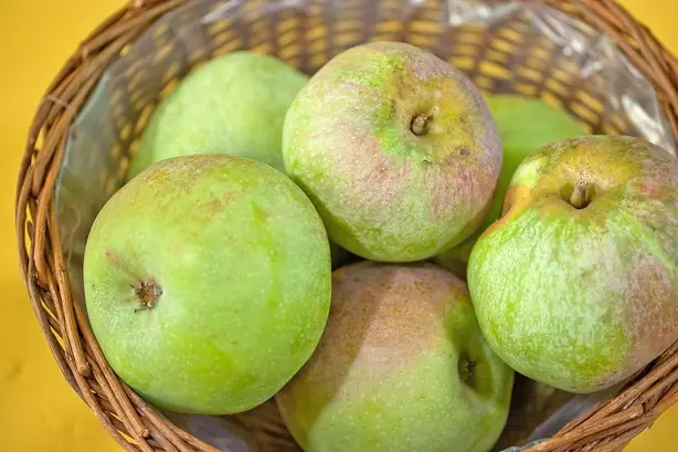 Foto von Hessische Gebackene Apfelringe – fertig angerichtet