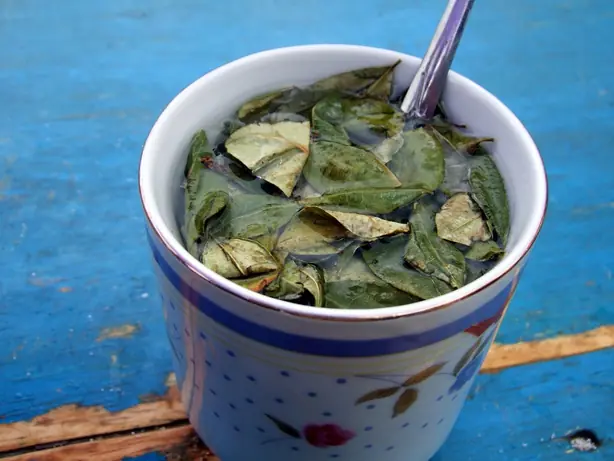 Cook Snap von kochcode-team