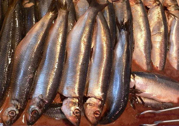 Cook Snap von kochcode-team