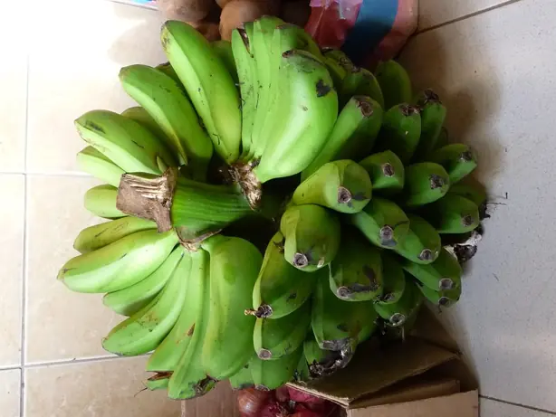 Cook Snap von kochcode-team