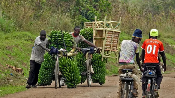 Foto von Ugandischer Matoke-Brei klassisch – fertig angerichtet