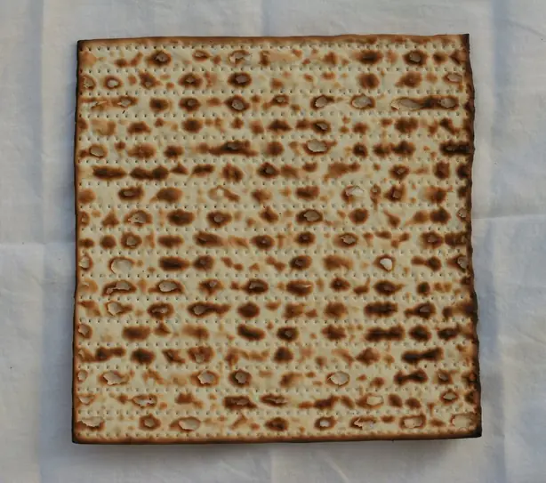 Cook Snap von kochcode-team