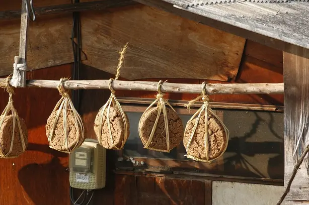 Cook Snap von kochcode-team