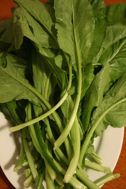 Cook Snap von kochcode-team