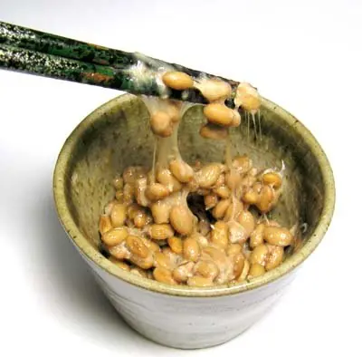 Cook Snap von kochcode-team