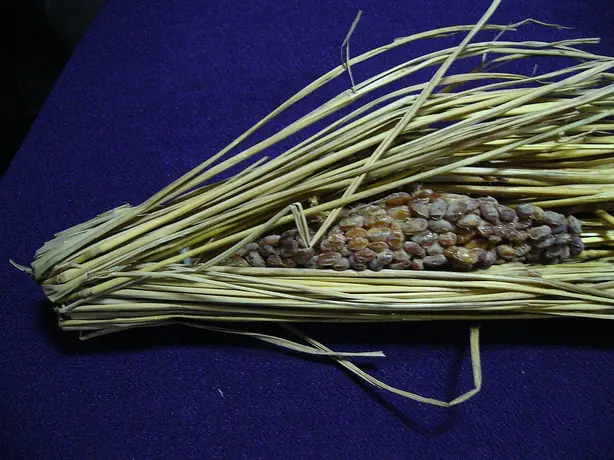 Foto von Japanisches Nattō selbstgemacht – fertig angerichtet