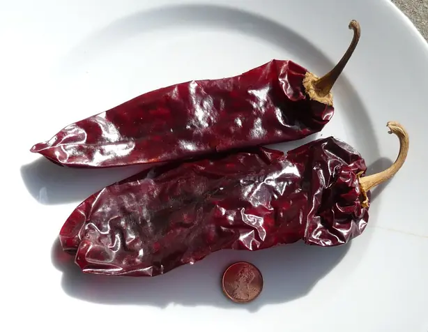 Newmexicochiles – Foto: Badagnani (CC BY 3.0)