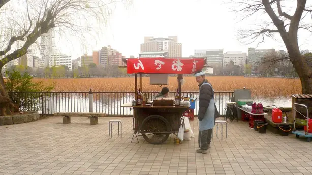 Cook Snap von kochcode-team