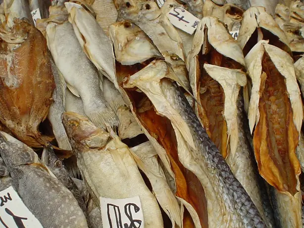 Cook Snap von kochcode-team