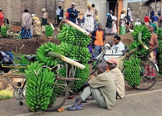 Cook Snap von kochcode-team