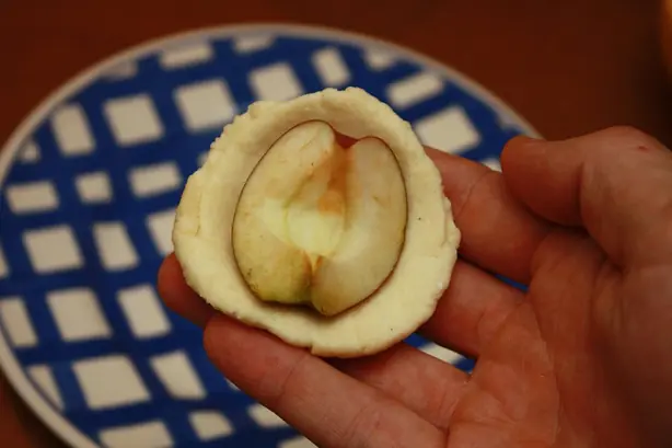 Ovocné tvarohové knedlíky 711 – Foto: Matěj Baťha (CC BY-SA 3.0)