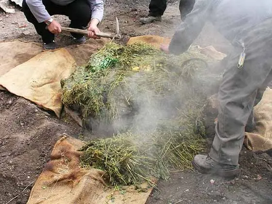 Cook Snap von kochcode-team