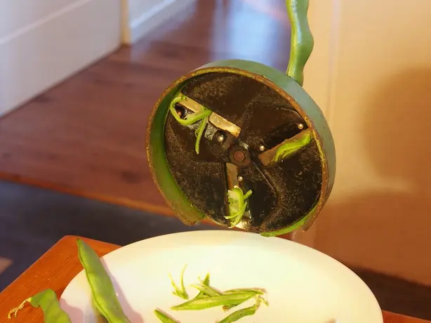 Foto von Rheinische Saure Bohnen fermentiert – fertig angerichtet