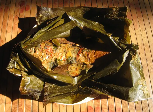 Cook Snap von kochcode-team