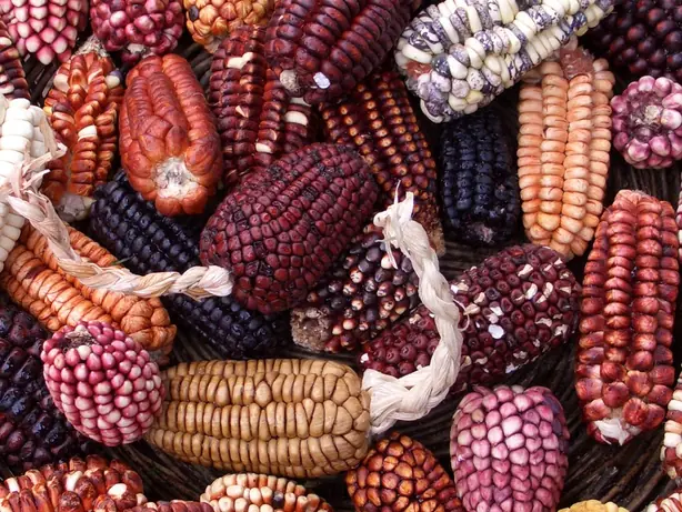 Foto von Peruanisches Lomo Saltado mit Pommes – fertig angerichtet