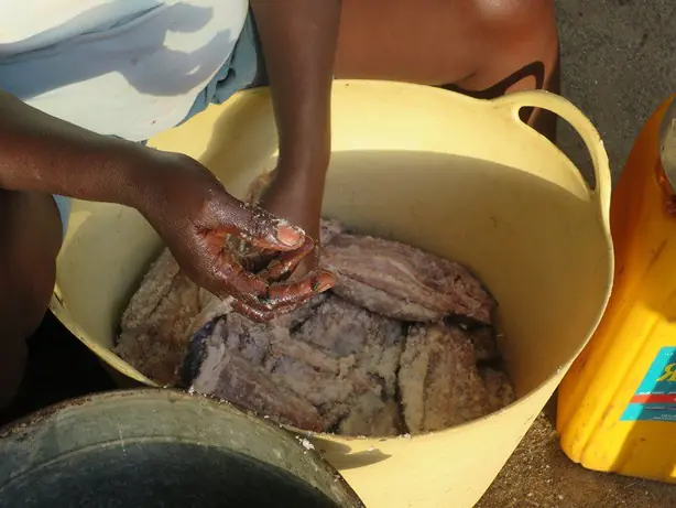 Cook Snap von kochcode-team