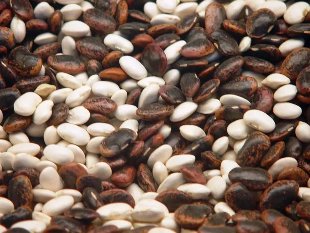 Cook Snap von kochcode-team