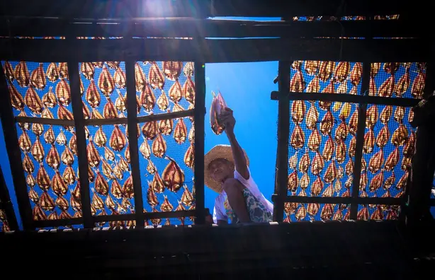 Cook Snap von kochcode-team