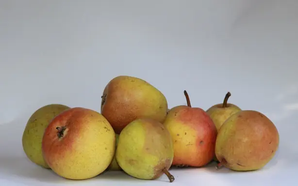 Foto von Freiburger Büschelibirne klassisch – fertig angerichtet