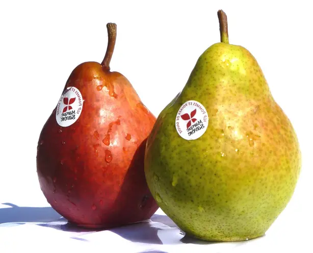 Cook Snap von kochcode-team