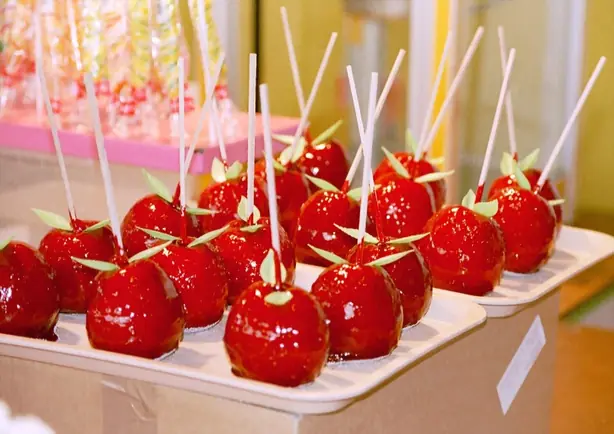 Cook Snap von kochcode-team