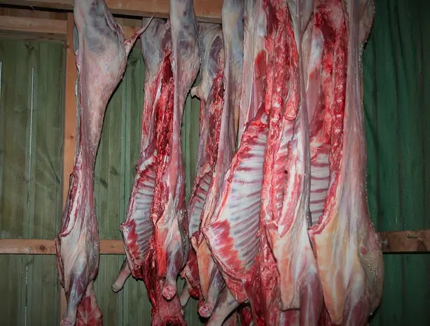 Cook Snap von kochcode-team