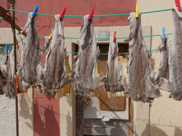 Cook Snap von kochcode-team