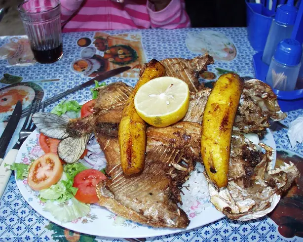 Cook Snap von kochcode-team