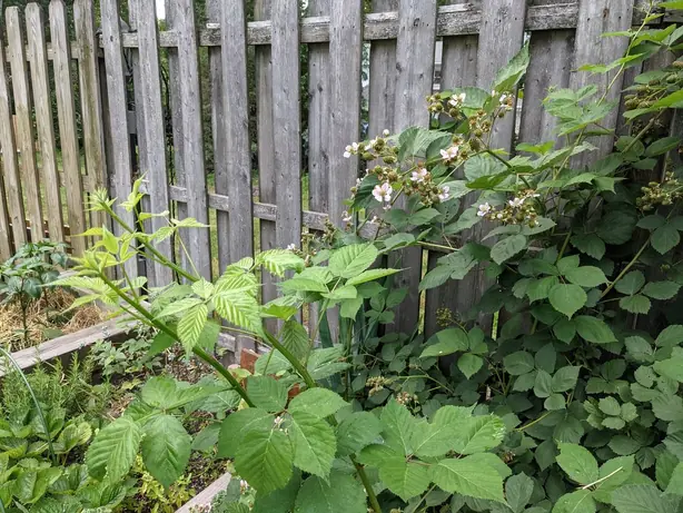 Cook Snap von kochcode-team