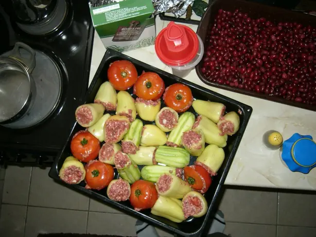 Cook Snap von kochcode-team