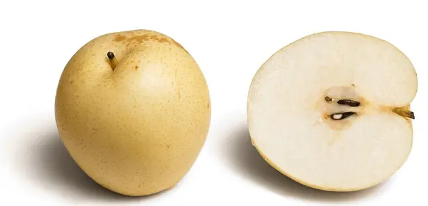 Cook Snap von kochcode-team