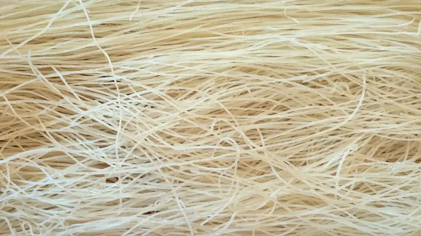 Cook Snap von kochcode-team