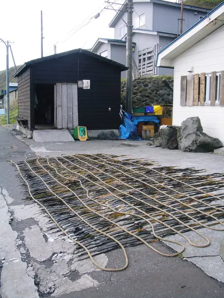 Cook Snap von kochcode-team